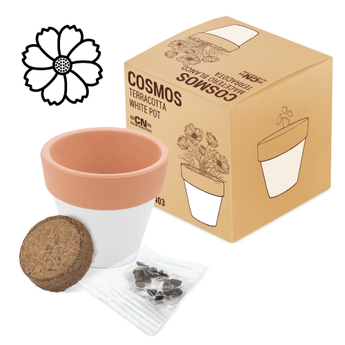 MACETA TERRACOTA "WHITE"