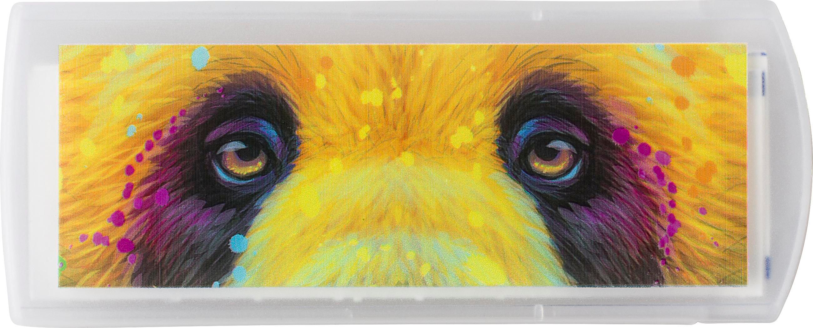 Estuche de plástico con tiritas Pocket