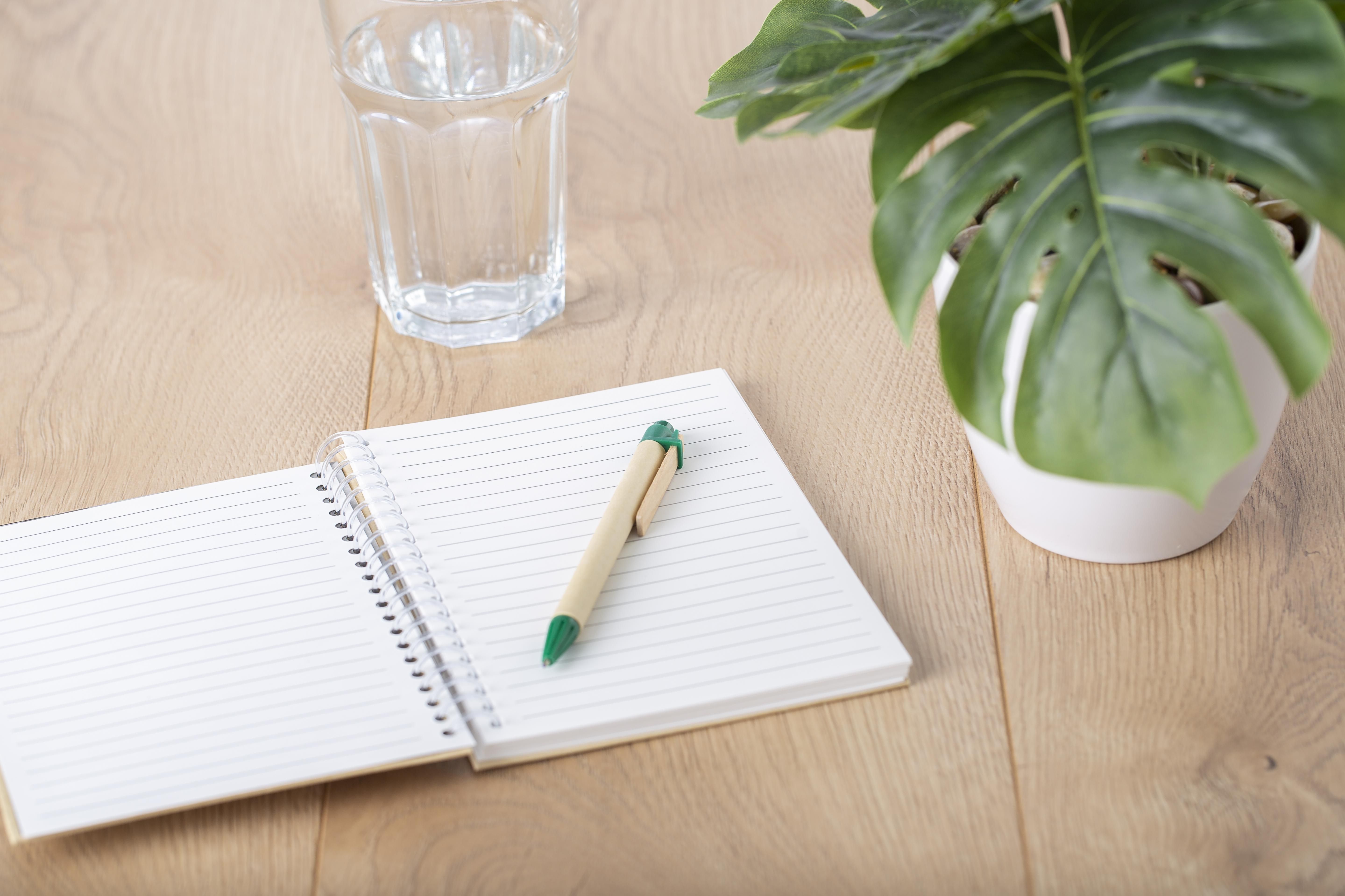 Bolígrafo de cartón Peter