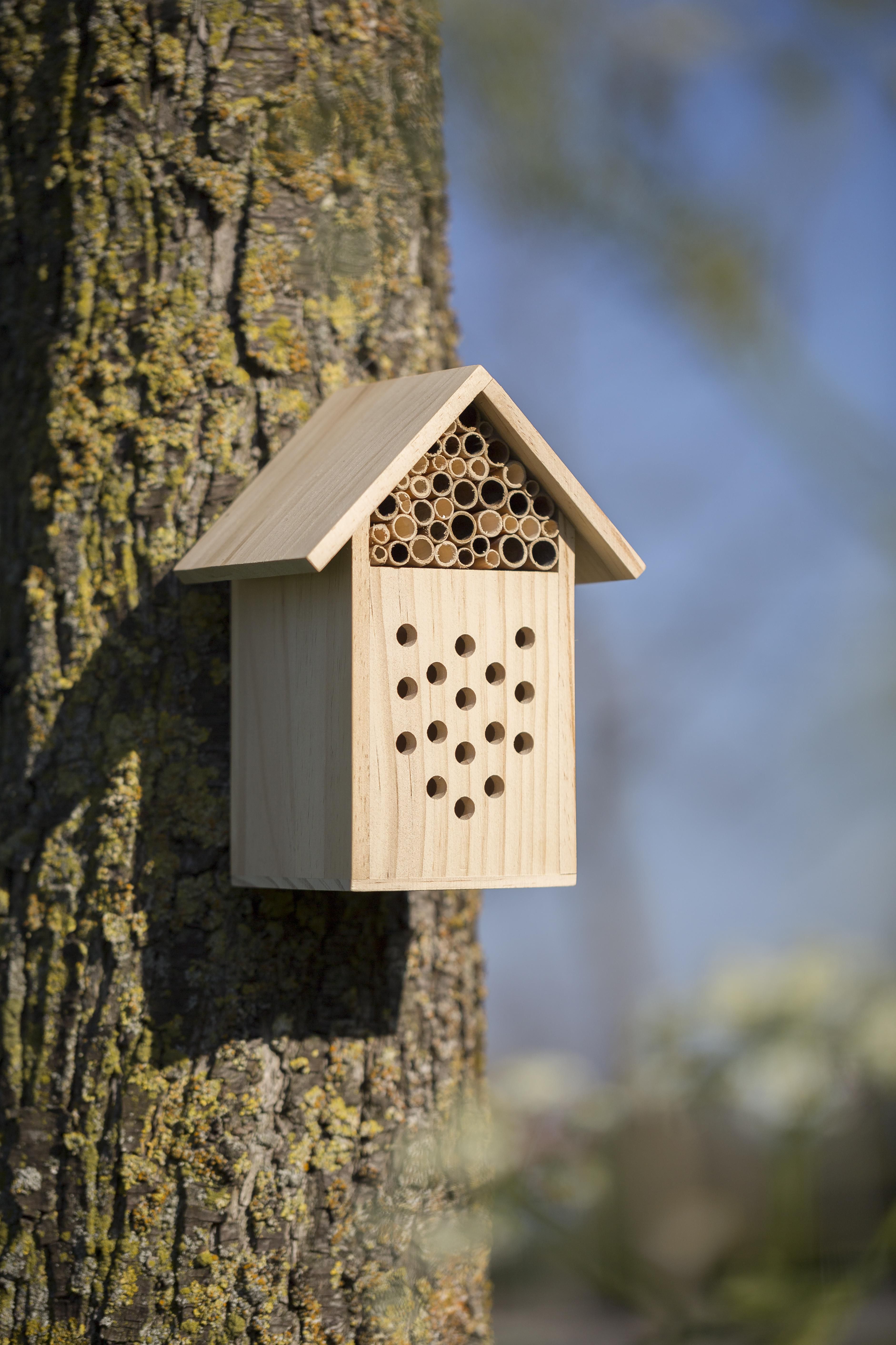 Casita de madera para abejas Fahim