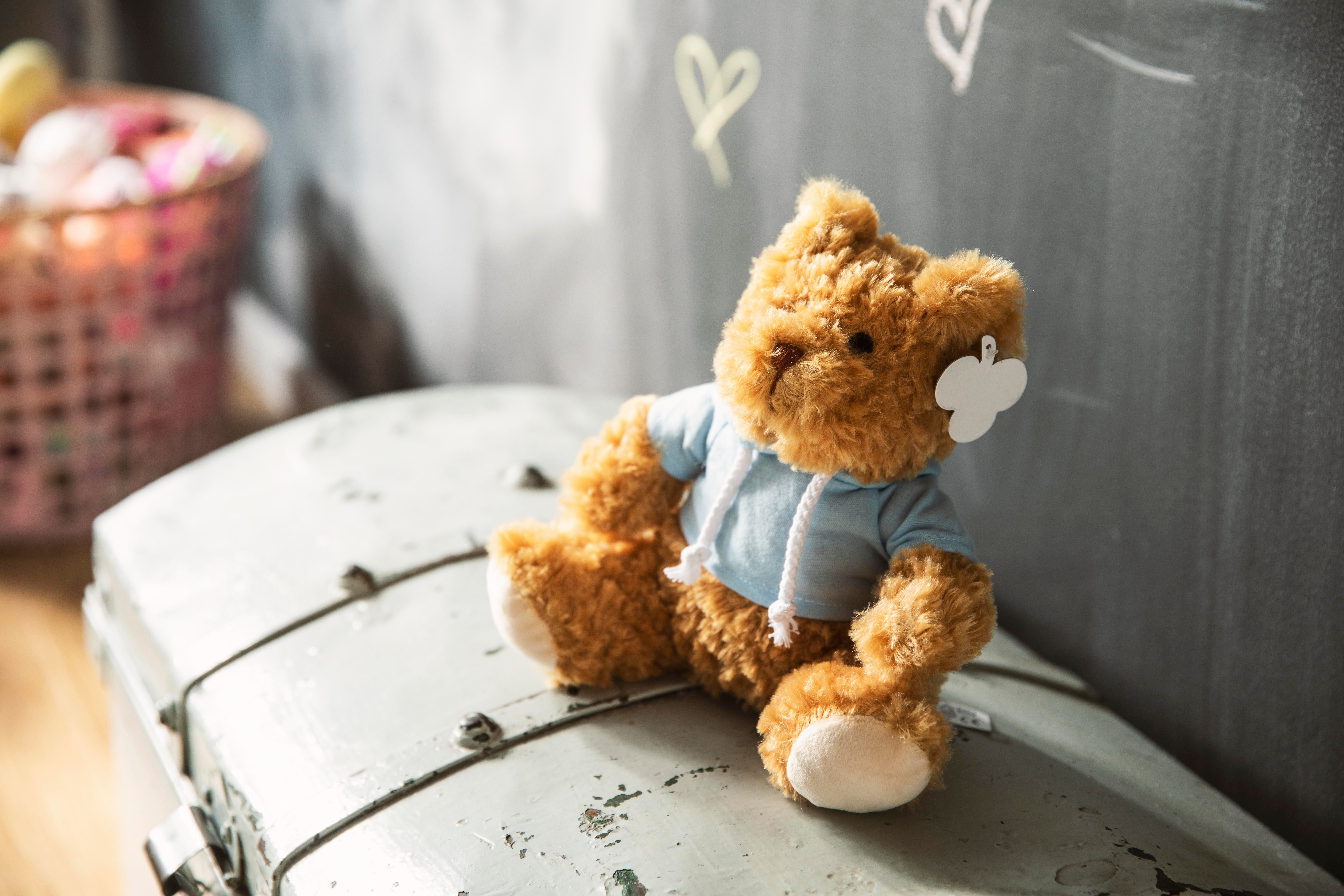 Oso de peluche con sudadera Monty