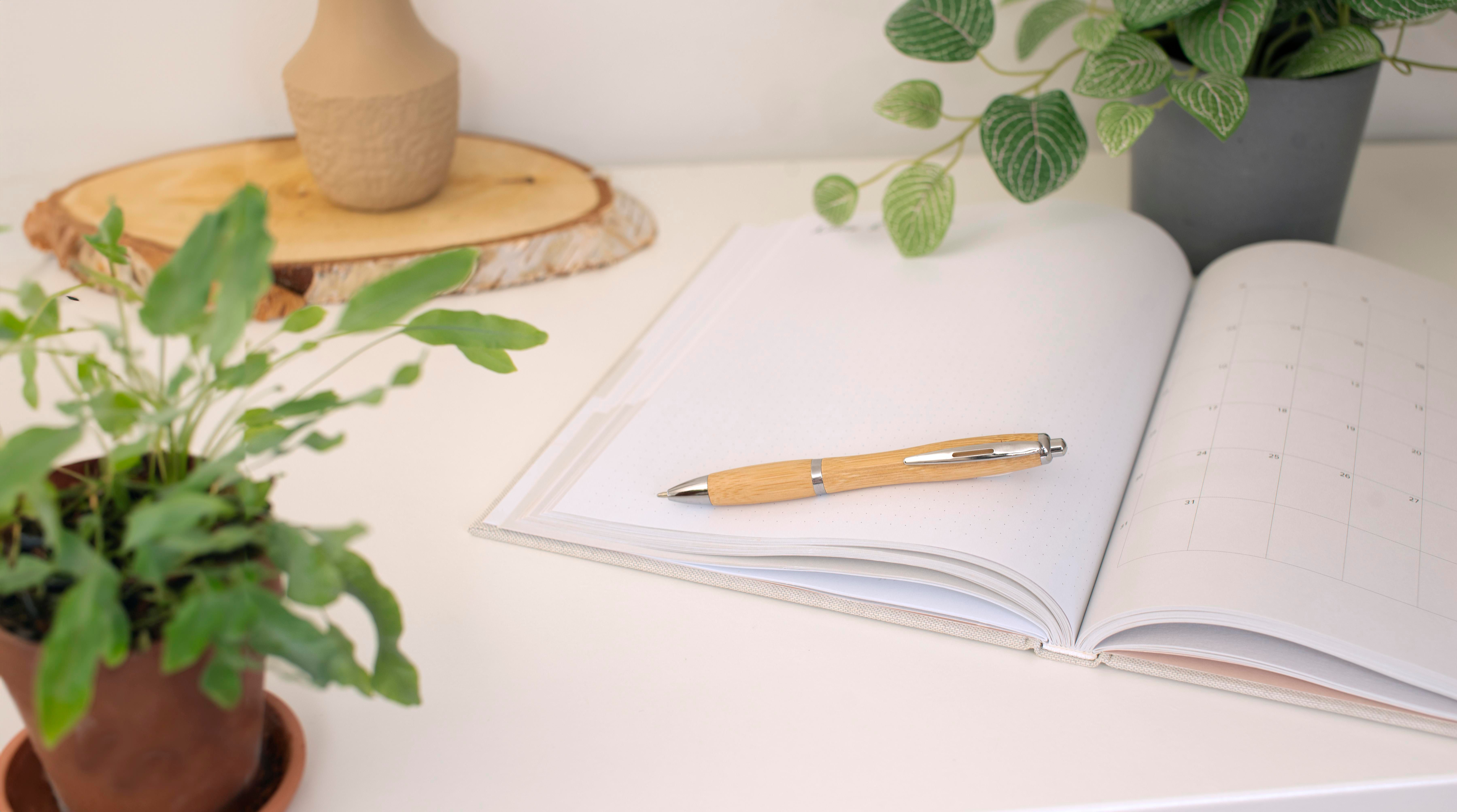 Bolígrafo de bambú Carson