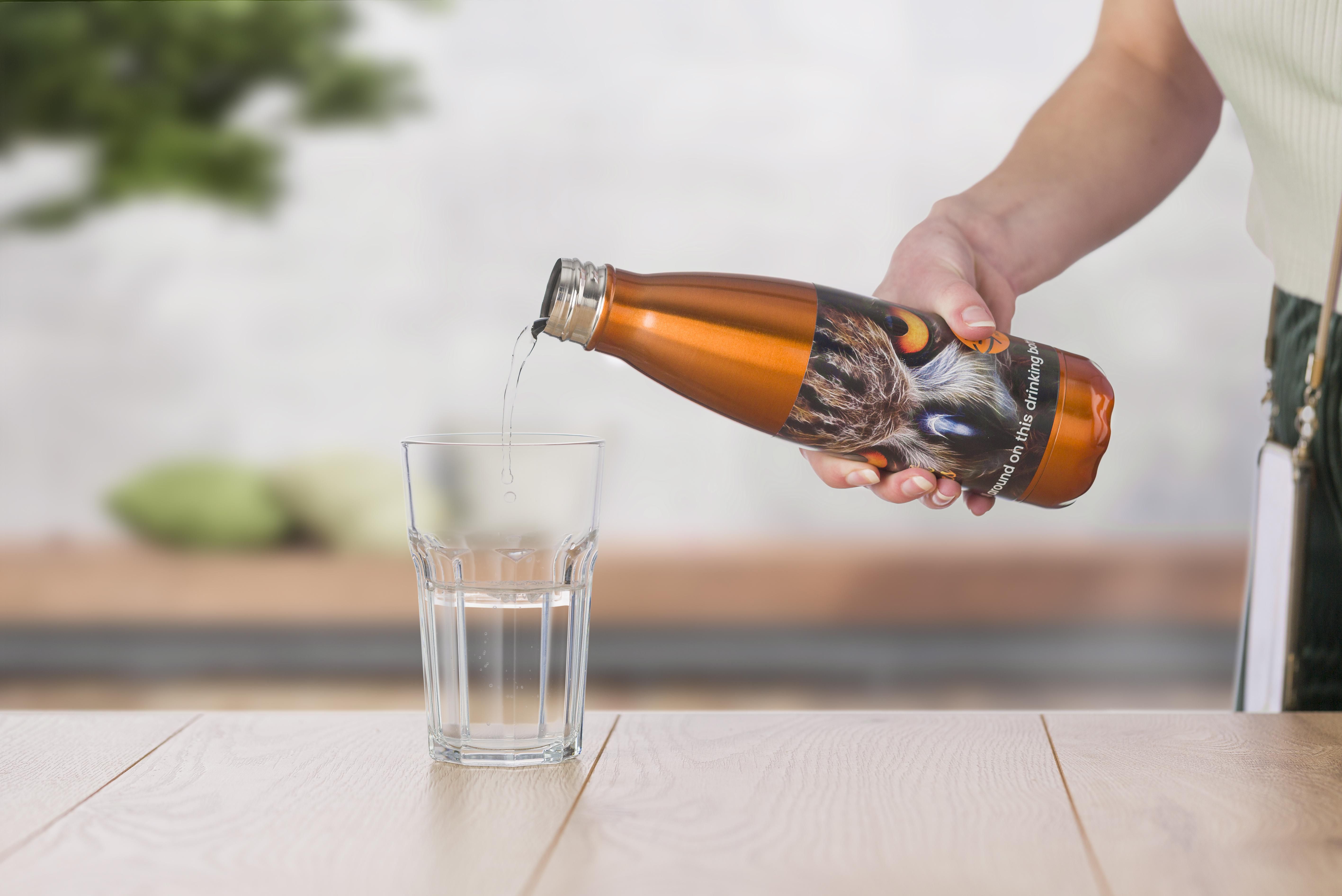 Botella de acero inox. Sumatra