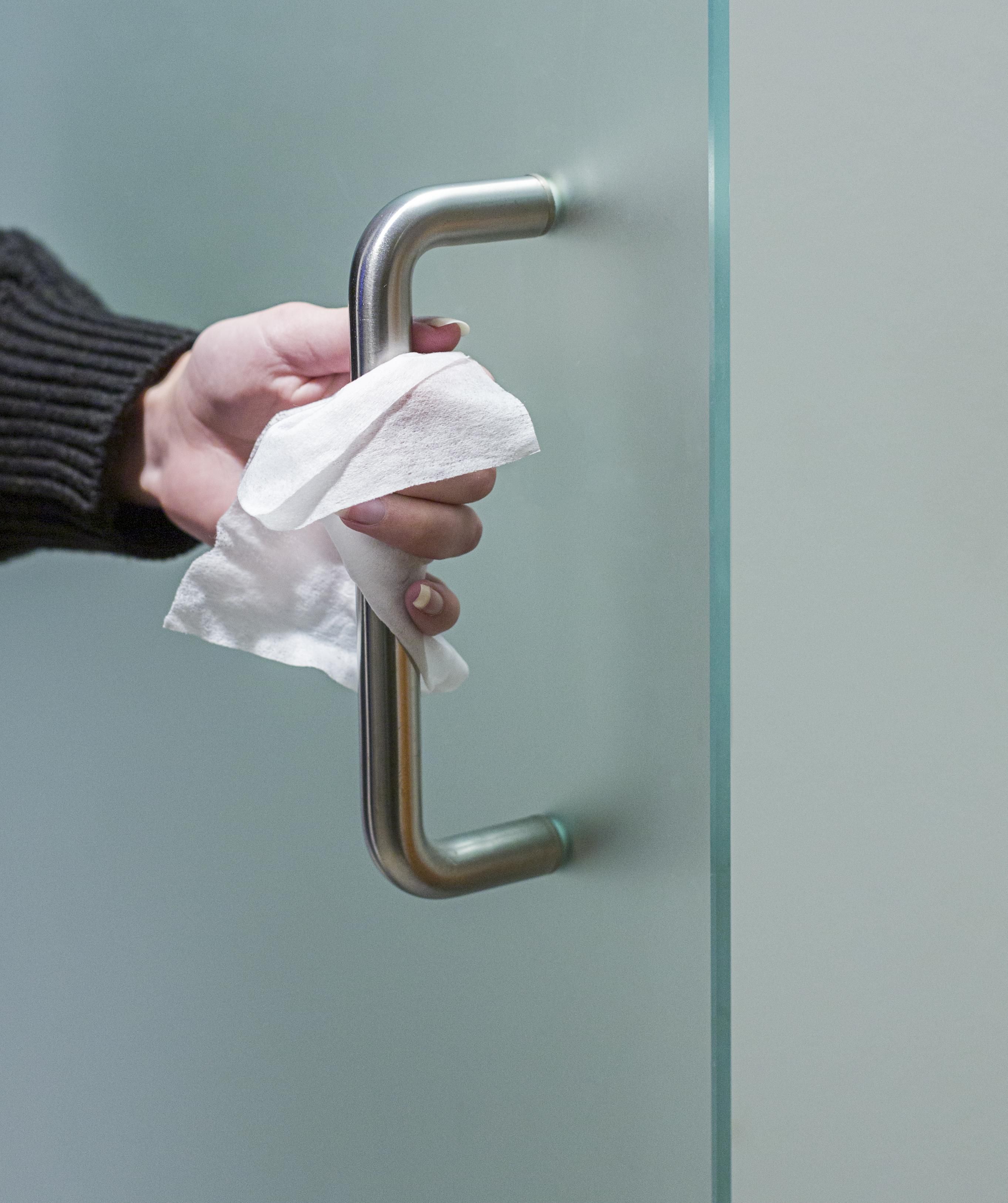 50 toallitas desinfectantes Estella