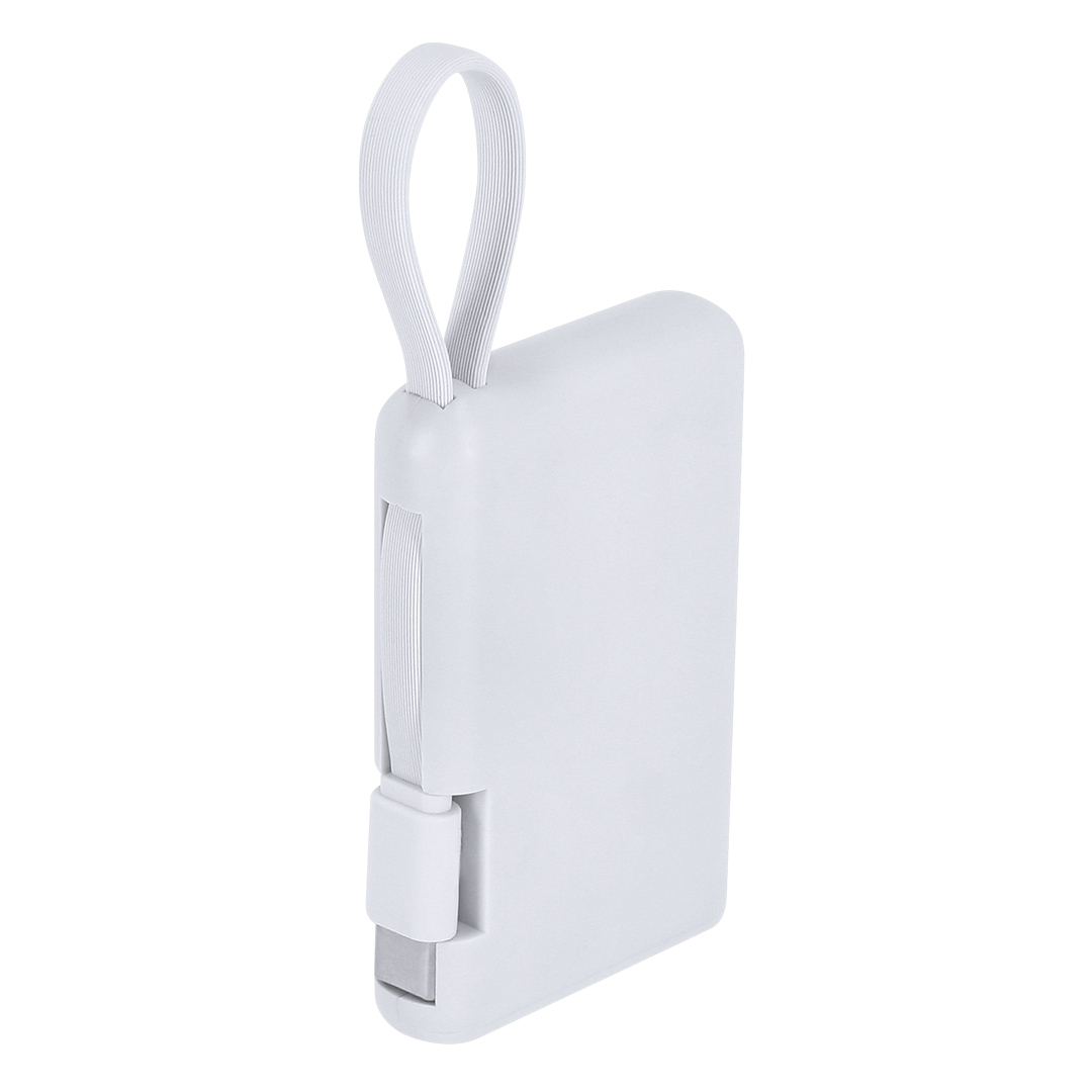 Power Bank Brandin